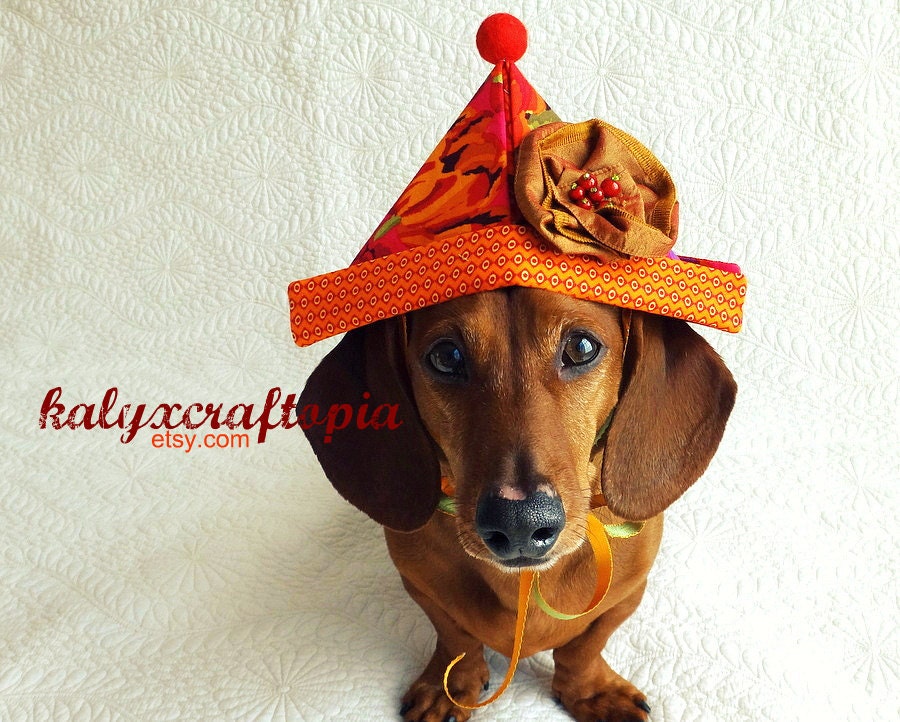 Garden Party Hat for Dachshunds - Red Orange Purple Green