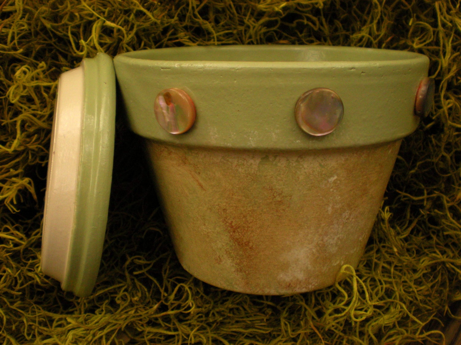 Rustic Green Hand Painted Flower Pot with Abalone Buttons - Wedding Favors - Garden Gifts