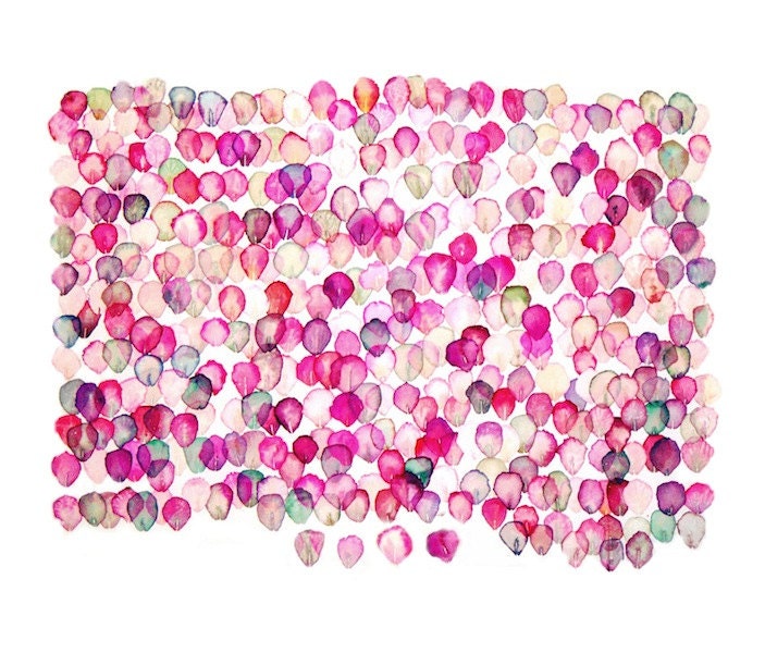 Spring, Rose Petals