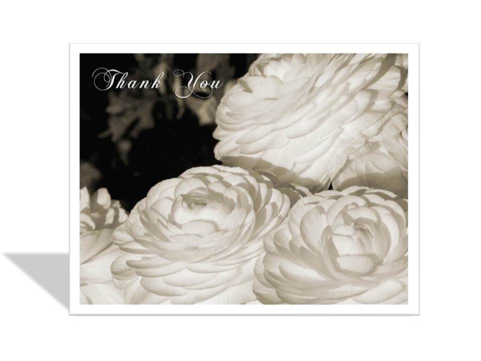 Flower thank you card - Greeting card - note card - flower note card - White flower note card - Ranunculas thank you note card notecard