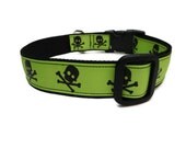 Pirate Puppy Green Dog Collar