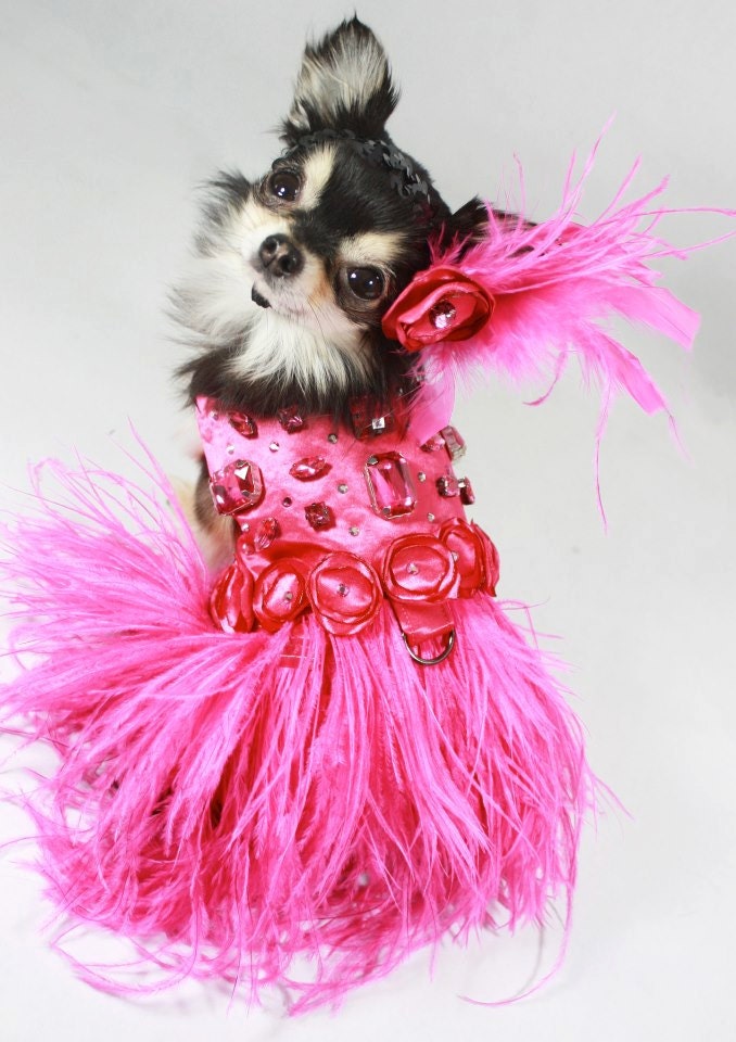 Roaring Pink Jazz Harness Dog Dress