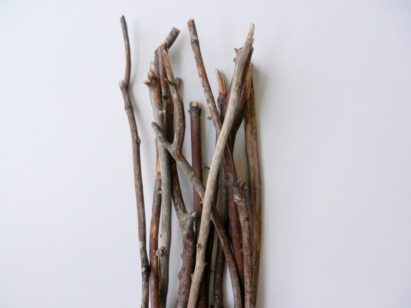 Bare Wood Branches 17 - 23 inches tall / natural rustic branches / vase filler / woodland home decor / land driftwood