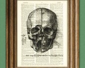View of a Skull number 3, from Leonardo da Vinci sketch on vintage dictionary page book art print Davinci