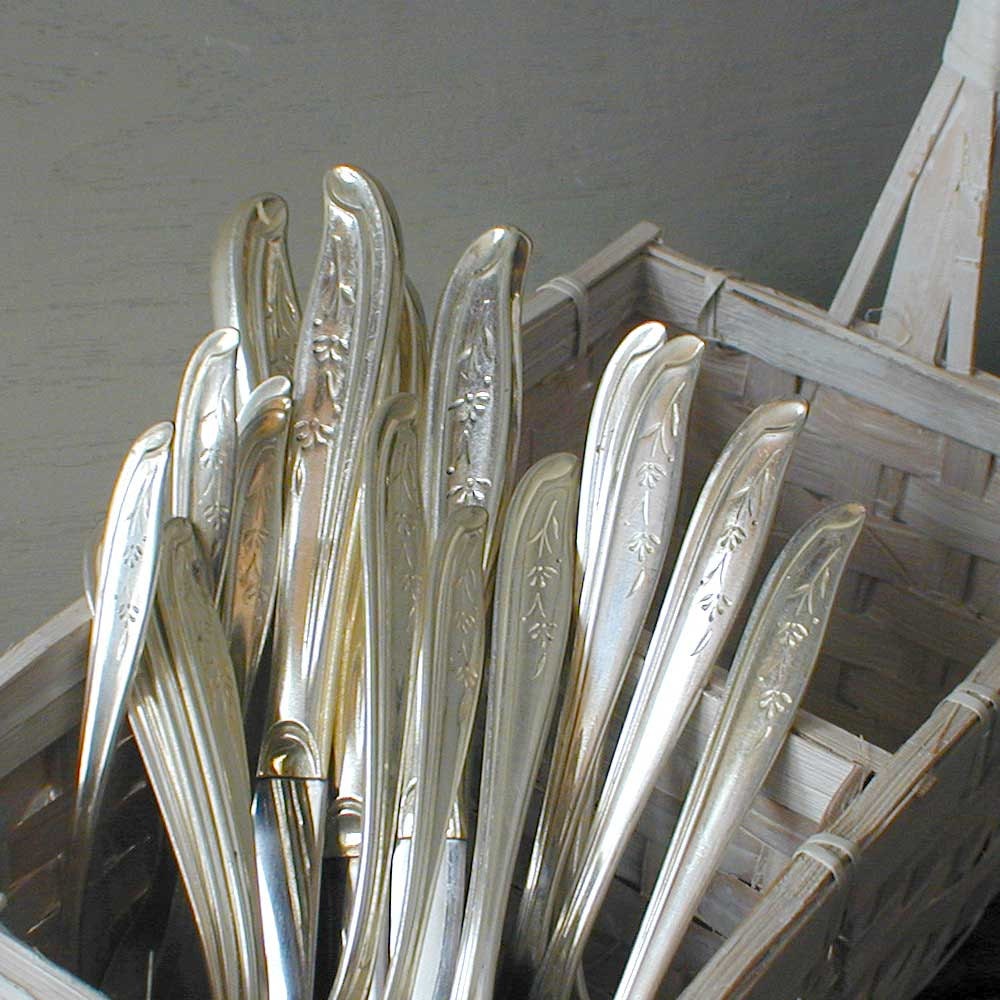 1959 PETAL LANE Silver Plate Flatware Service for 4