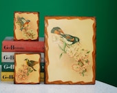 Set of 3 Vintage Wooden Bird Plaques