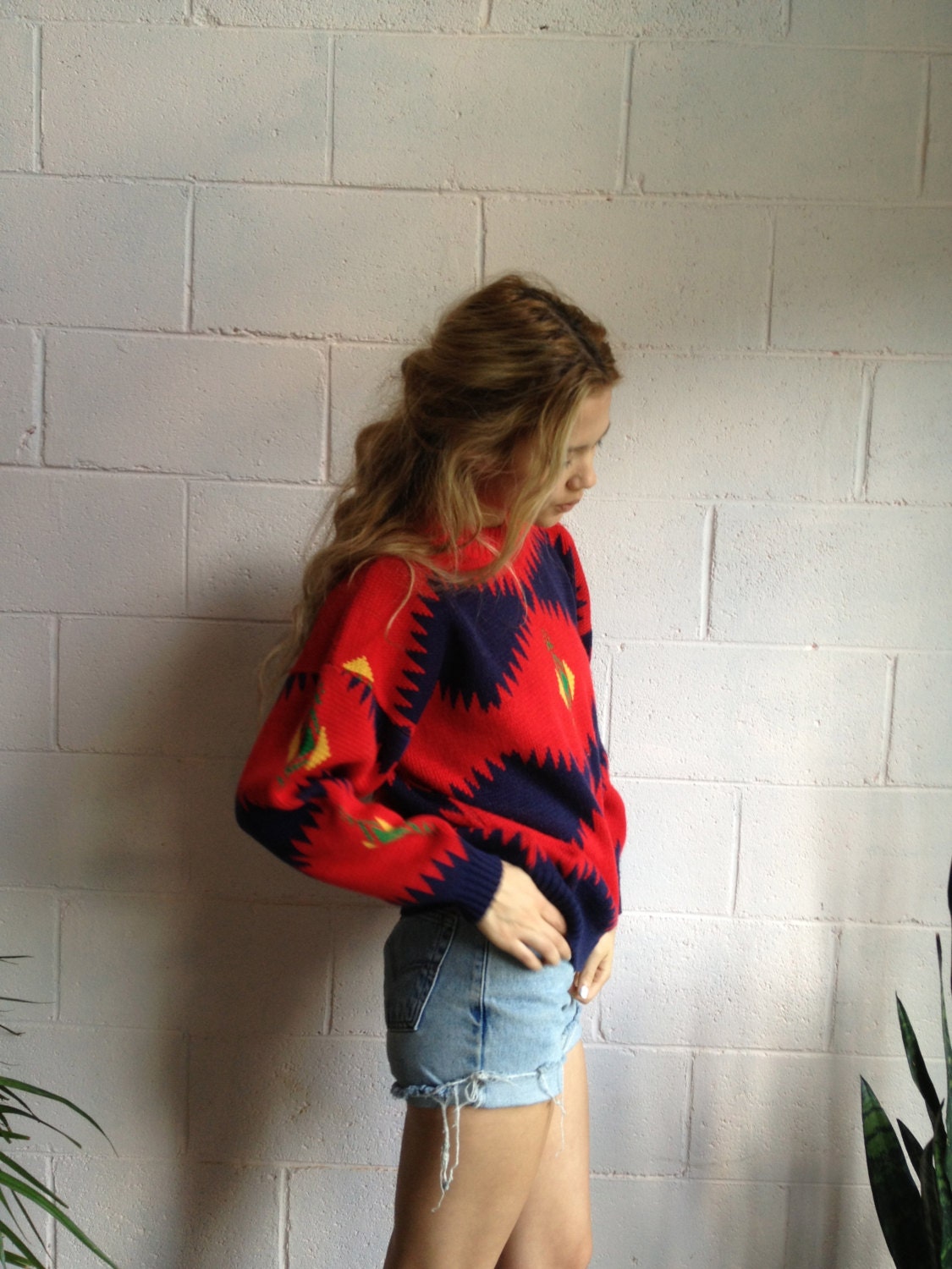 Rare Vintage Navajo Sweater