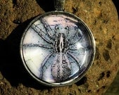 Spider Web of Fate Glass Necklace Creepy Goth Pendant