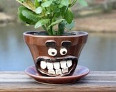 Springtime Gardening Red Flower Pot. Kitchen Herb Garden