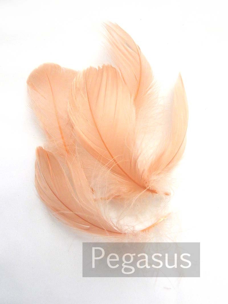 Loose Blush Pink Nagorie goose feathers (12 PIECES) popularly used for wedding flowers, fascinators, derby hats and flapper headdress