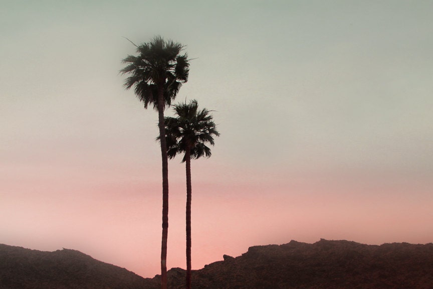 Southwest Landscape Photography Desert Palm Trees Modern Desert Landscape Two Palms at Sunset