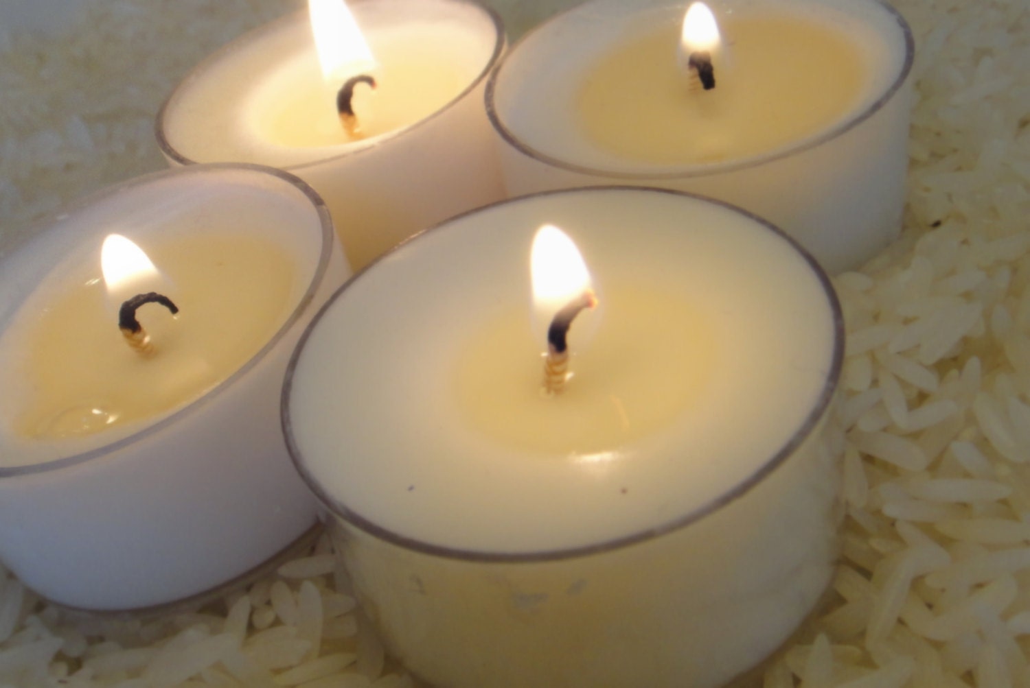 S A L E Christmas Pine Tree Soy Tea Light Candles Pak of 4