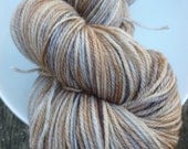 HP Series: "Cottageish" Superwash Merino Fingering Yarn Bay