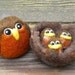 Robin Family/ Needle Felted Robin and Nest with Three Baby Robins