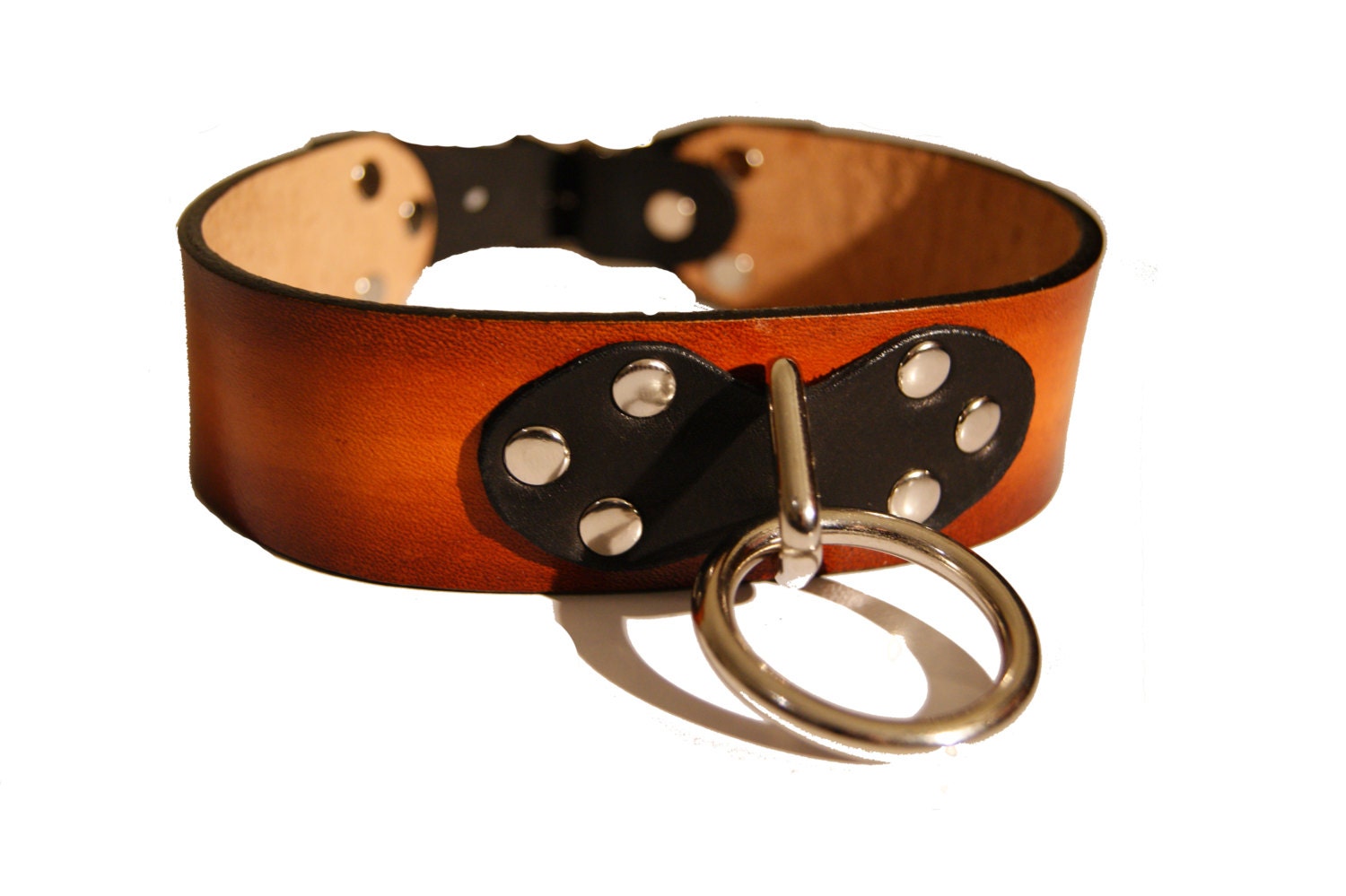 Leather Dog Collar - Single Strap Sunburst