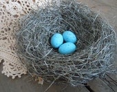 Shabby Chic Handmade Bird Nest with Turquoise Robin's Eggs (6 inch Nest)