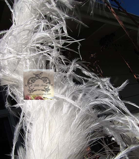Ostrich Boa Feathers 12" Soft Eggshell White Ivory