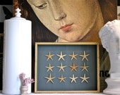 Framed Starfish