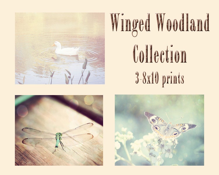 8x10 nature photography set woodland wall art rustic decor green brown pale yellow dragonfly butterfly duck photography