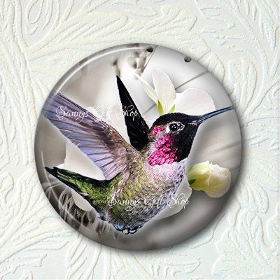 Pocket Mirror Hummingbird  Buy 3 get 1 Free  310-S