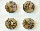 Magnet Set Hummingbirds  "Buy 3 get 1 Free"   017M