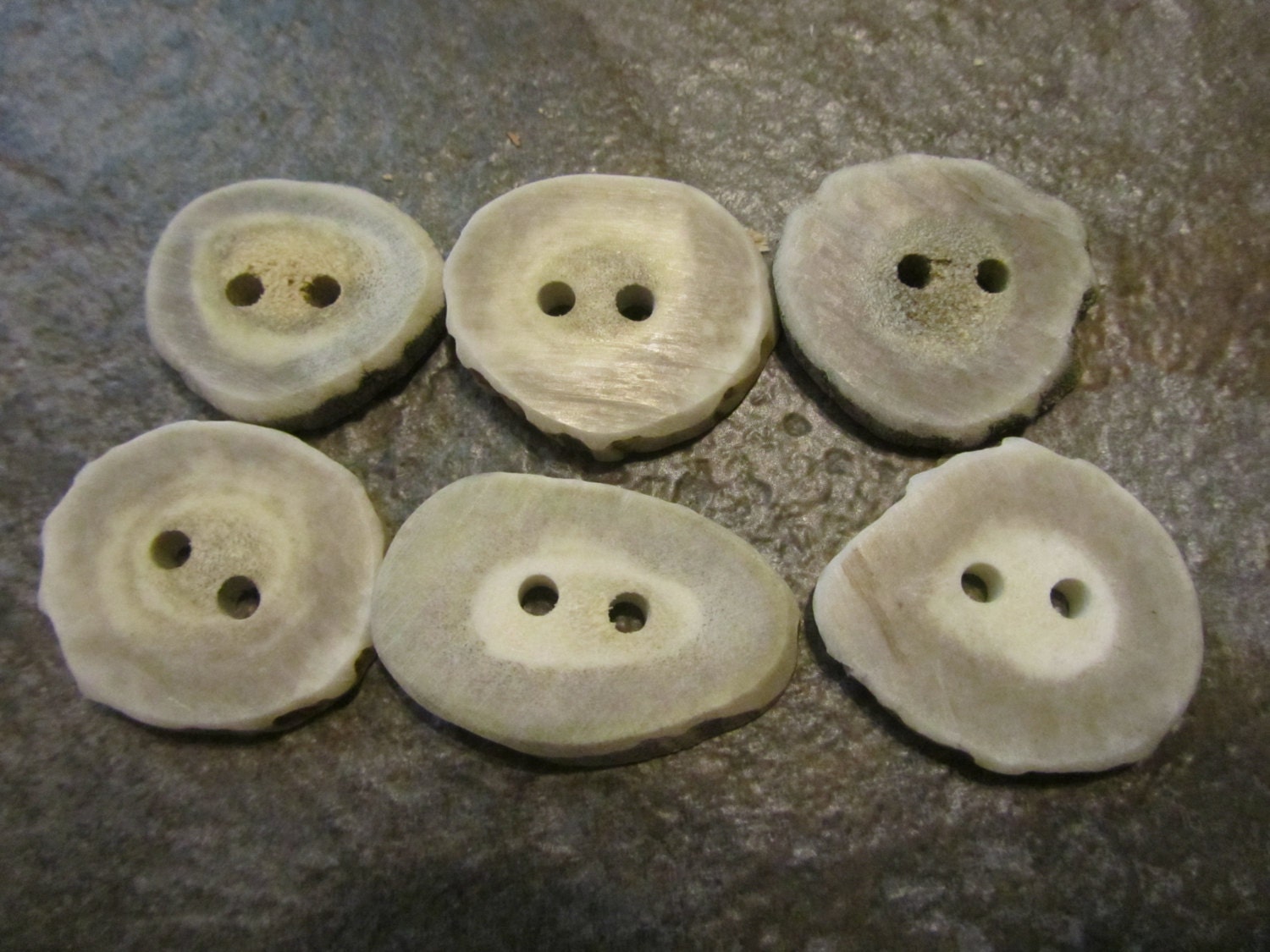 6 Deer Antler Buttons.