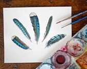 Blue Jay Feathers ORIGINAL Watercolour