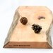 Natural Edge Salvaged Maple Serving Board 826, Ready to Ship