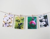 Think Spring - Set of 4Photo Note Cards - Pastel Colors - Bunny, Pink, Lavendar - White Daisy - Easter - Rabbit - Spring Flowers