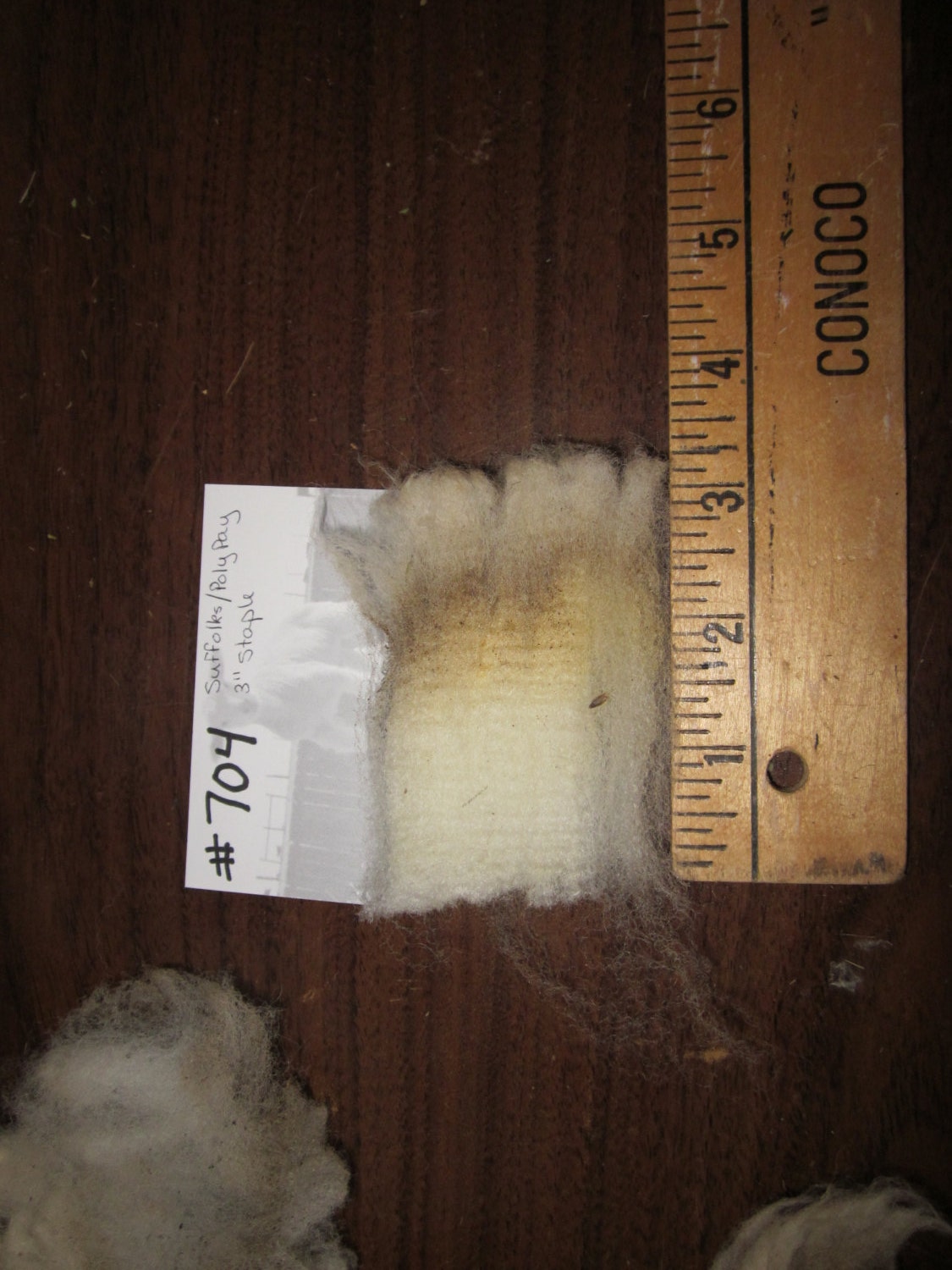 Polypay Suffolks Cross Raw Unwashed Sheep Wool Number 704