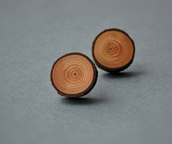 rustic larch tree branch wood stud post earrings. . .