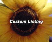 Custom Listing for Taylor Only
