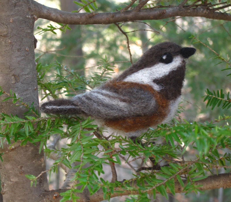 Needle felted Chickadee, life size bird