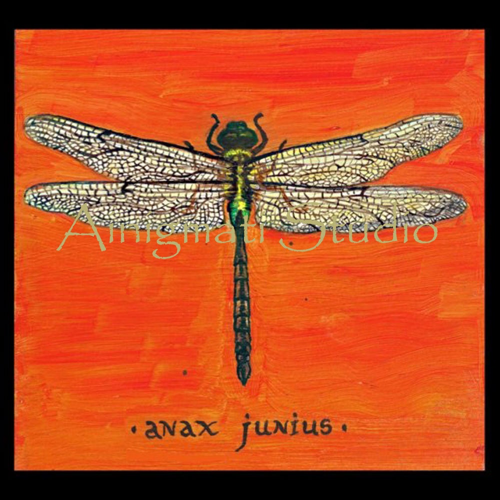 Dragonfly greeting card, note card, thank you card