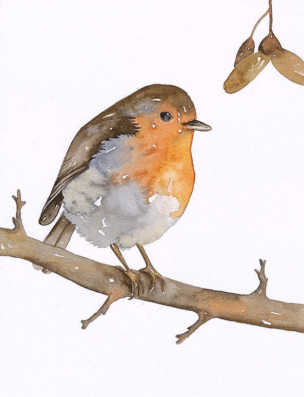 ROBIN Bird - Art Print, Limited Edition - Watercolor Painting by Lorisworld (5x7)