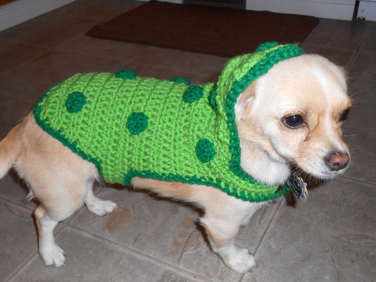 Pickle Costume for Small Dogs Crochet Pattern by LightningCat