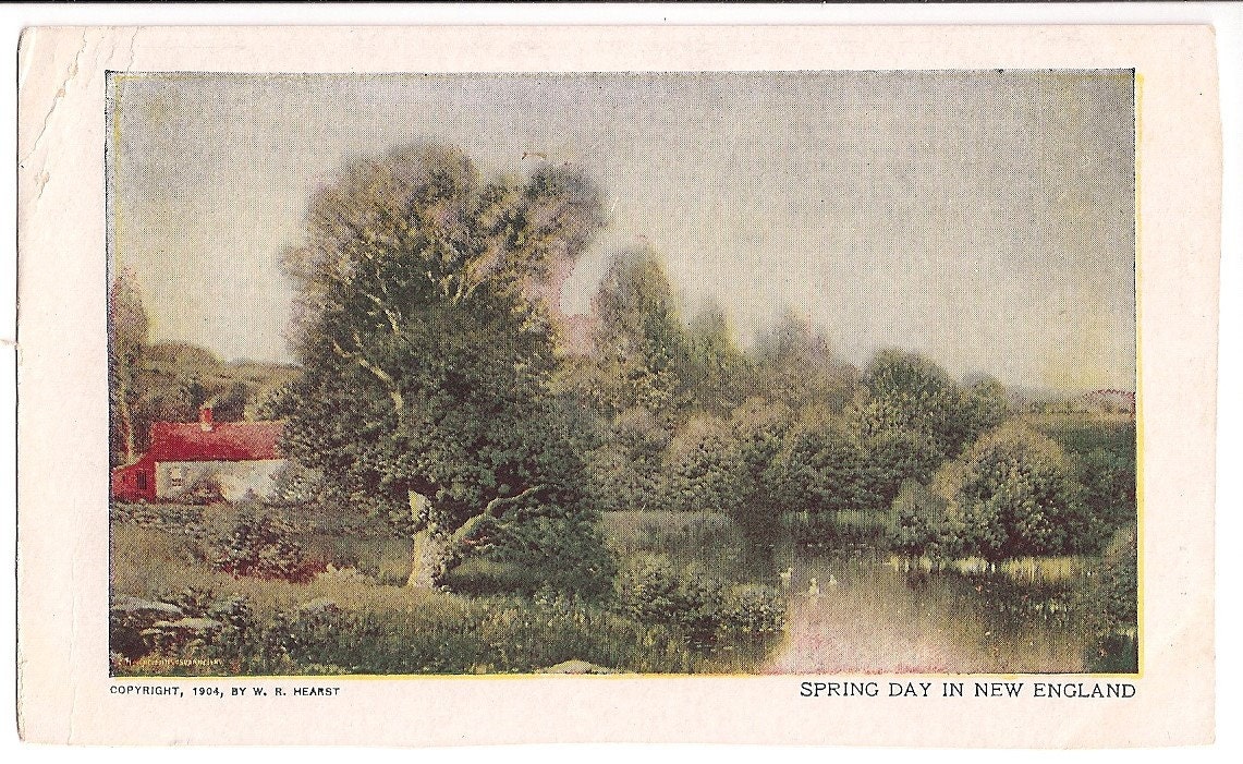 Spring Day in New England Antique Postcard 1904 Compliments of NY Sunday American & Journal - Red Roof Cottage and Ducks
