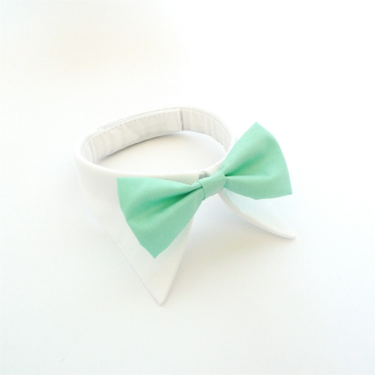 Shirt Collar -Mint-