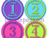 SALE Monthly Onesie Stickers Baby Month Stickers Onesie Stickers Baby Shower Gift Baby Girl Add Your Babies Name Stickers Custom Stickers