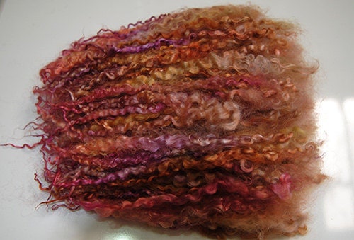 Hand Dyed Teeswater locks, 1 Multicolors shades, 2.1 oz