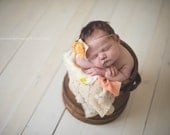 Apricot Orange Garden Flower Headband