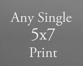 Any Single 5x7" Print - Your Choice