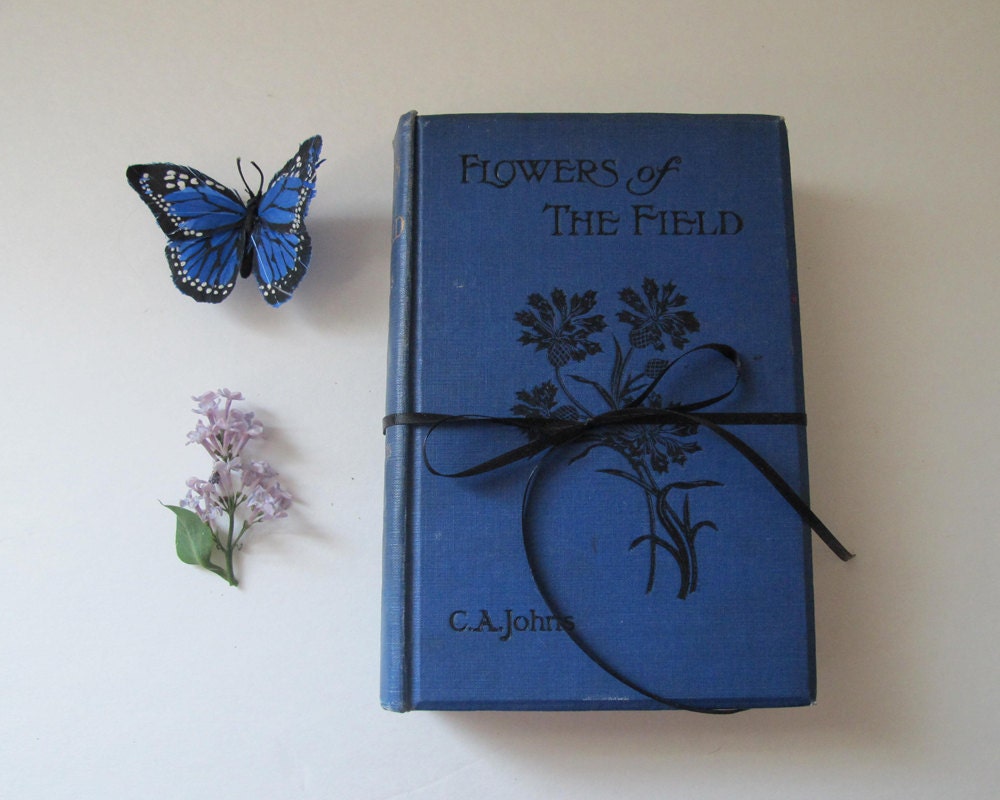 Antique Natural History Book: "Flowers of the Field", 1911