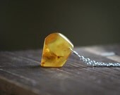 Baltic Amber with Bug Inclusion  Chunky Assymetric Honey Yellow amber Pendant on chain
