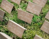 Wedding Name Place Cards, Escort Cards, Shabby Chic, Table Cards, Kraft Paper Tented Cards, Hand Calligraphy Featured on Style Me Pretty