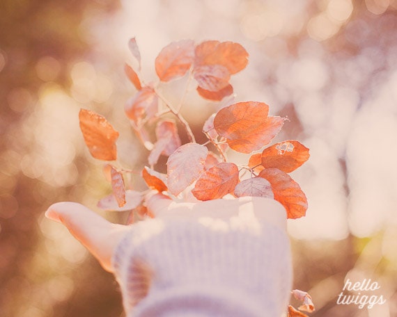 BOGO SALE - Dreamy Whimsical Photography, Blur Whimsical, Pastel Colors, Girl Room Decor, Nature Photograph - Hold your dreams in your hands