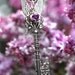 SALE - Treasure of the Heart Key Necklace