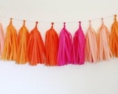 Tissue Tassel Garland Kit - Bright