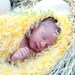 Baby Bird Prop Blanket Wraps like Cocoon Newborn Baby Chick Hatchling Yellow Duckling Children