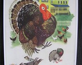 Colorful Illustrated Childrens Book Page - Poster Print - 8 x 11 - Farm Animals - Turkey